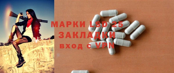 индика Володарск