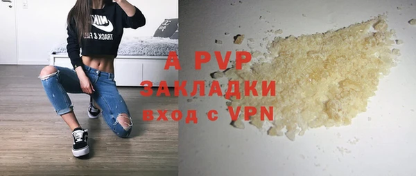 индика Володарск