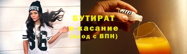 индика Володарск