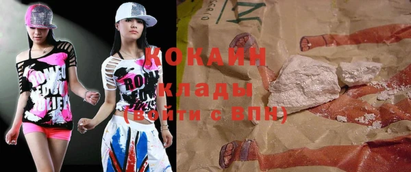 индика Володарск