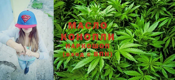 индика Володарск
