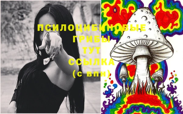 мдма Волоколамск